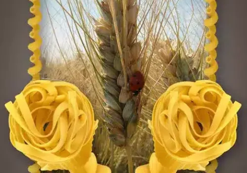 marakas_grano_duro_1