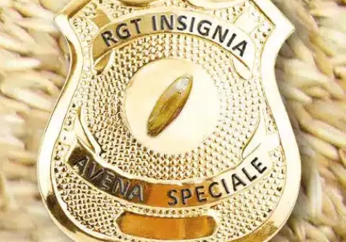rgt_insignia_avena