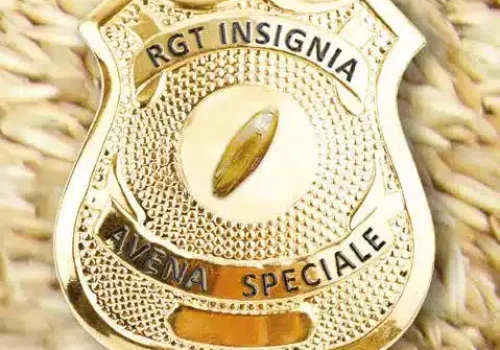 rgt_insignia_avena