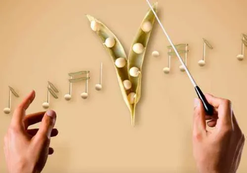 rgt_orchestra_pisello_proteico