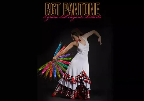 rgt_pantone_grano_tenero