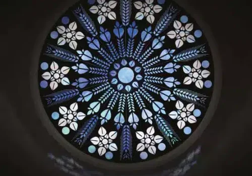 rgt_rosako_grano_tenero