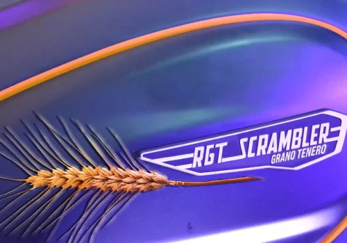 rgt_scrambler_grano_tenero
