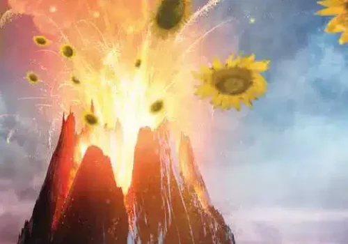 rgt_vollcano_clp_girasole_1